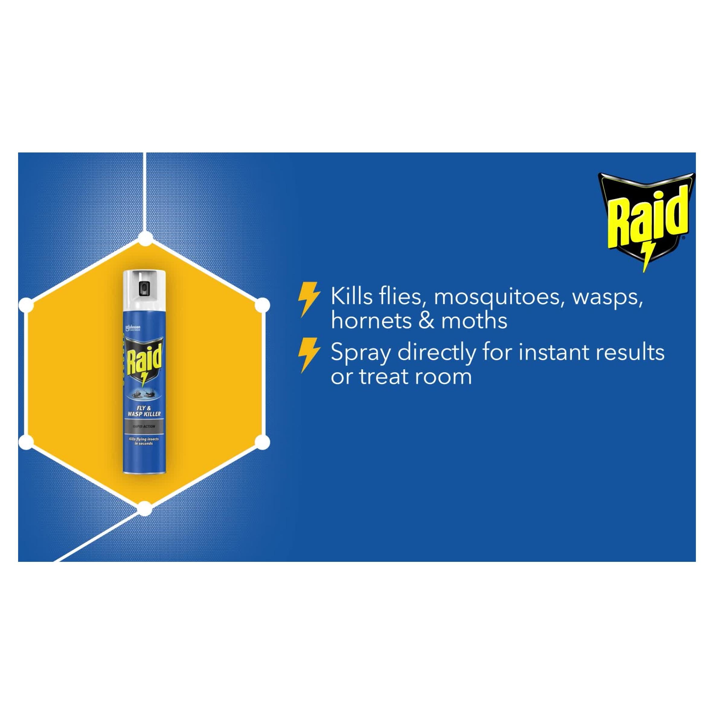Raid Rapid Action insect killer spray 300ml (British brand)