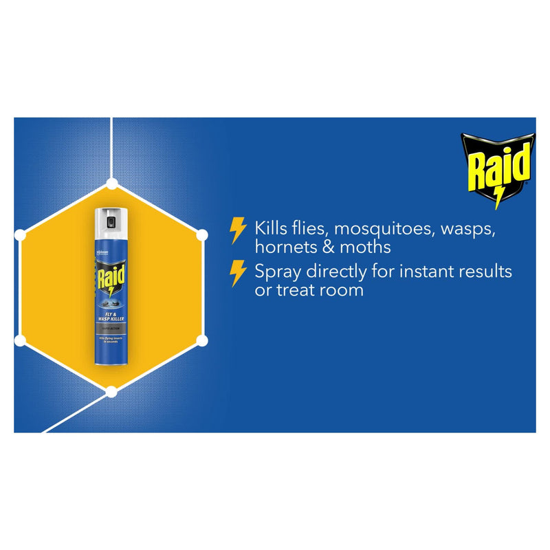 Raid Rapid Action insect killer spray 300ml (British brand)