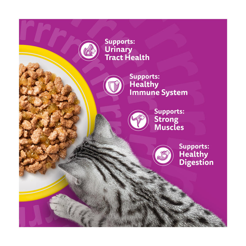 Whiskas 11+ Poultry Feasts pouches 85g, UK version