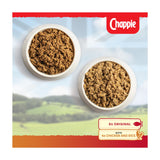 Chappie adult wet dog food loaf 6x412g tins - British product