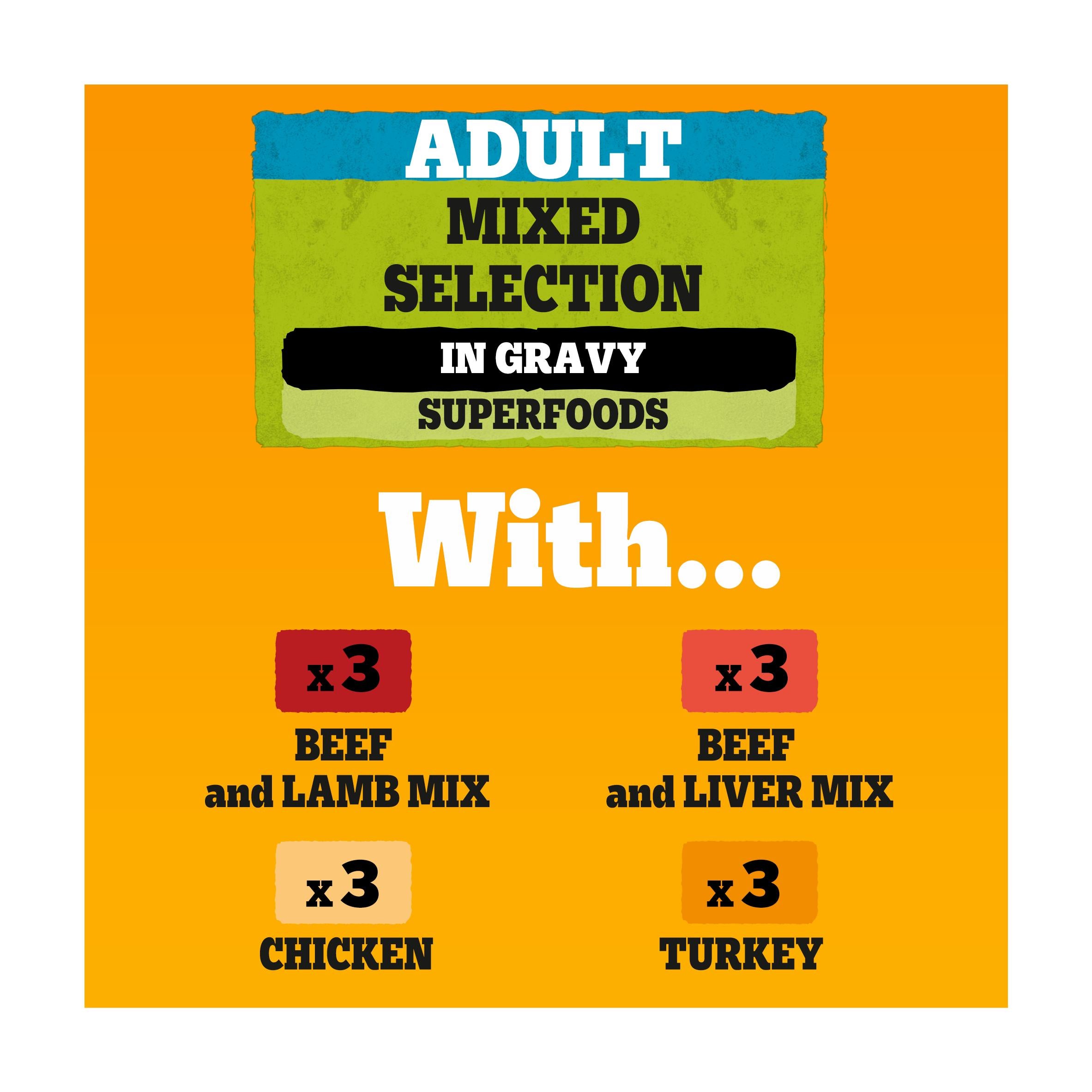 Pedigree adult wet dog food pouches mixed in gravy 12x100g (British brand)