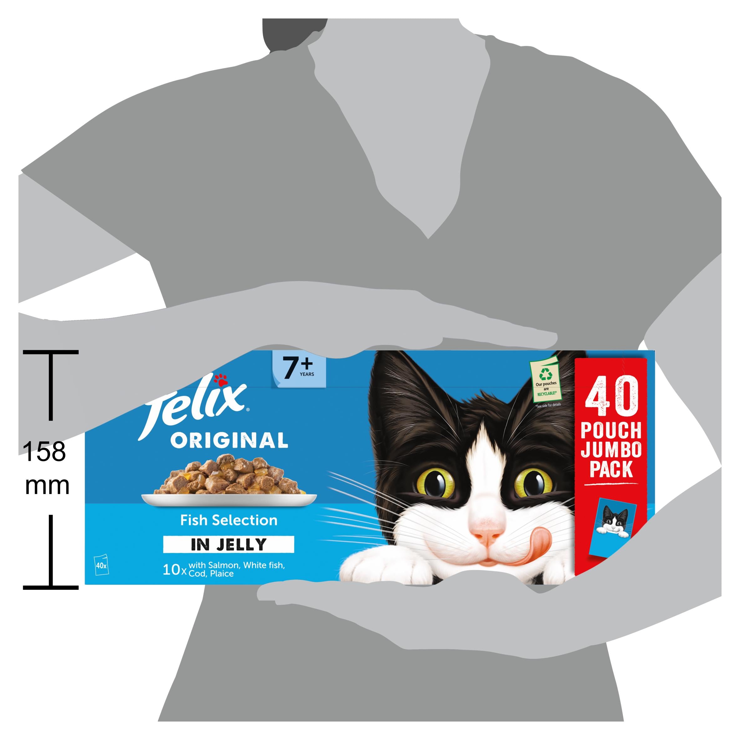 Felix Senior 7+ fish selection cat food (British brand)