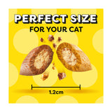Dreamies cat treat biscuits with chicken and duck 60g, UK version
