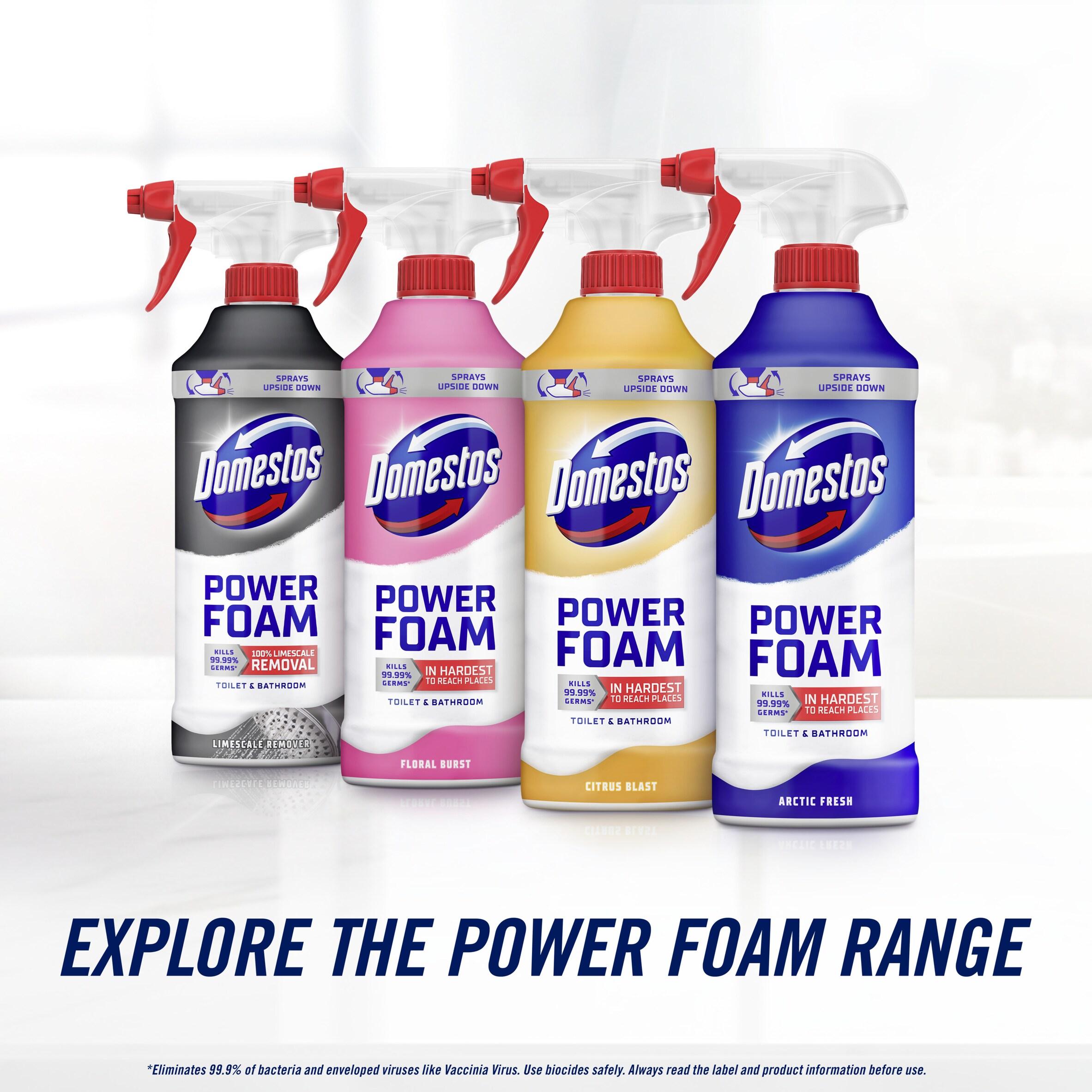 Domestos bleach foam Pine Boost 450ml (British brand)