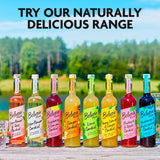 Belvoir Farm elderflower cordial 500ml, imported from the UK