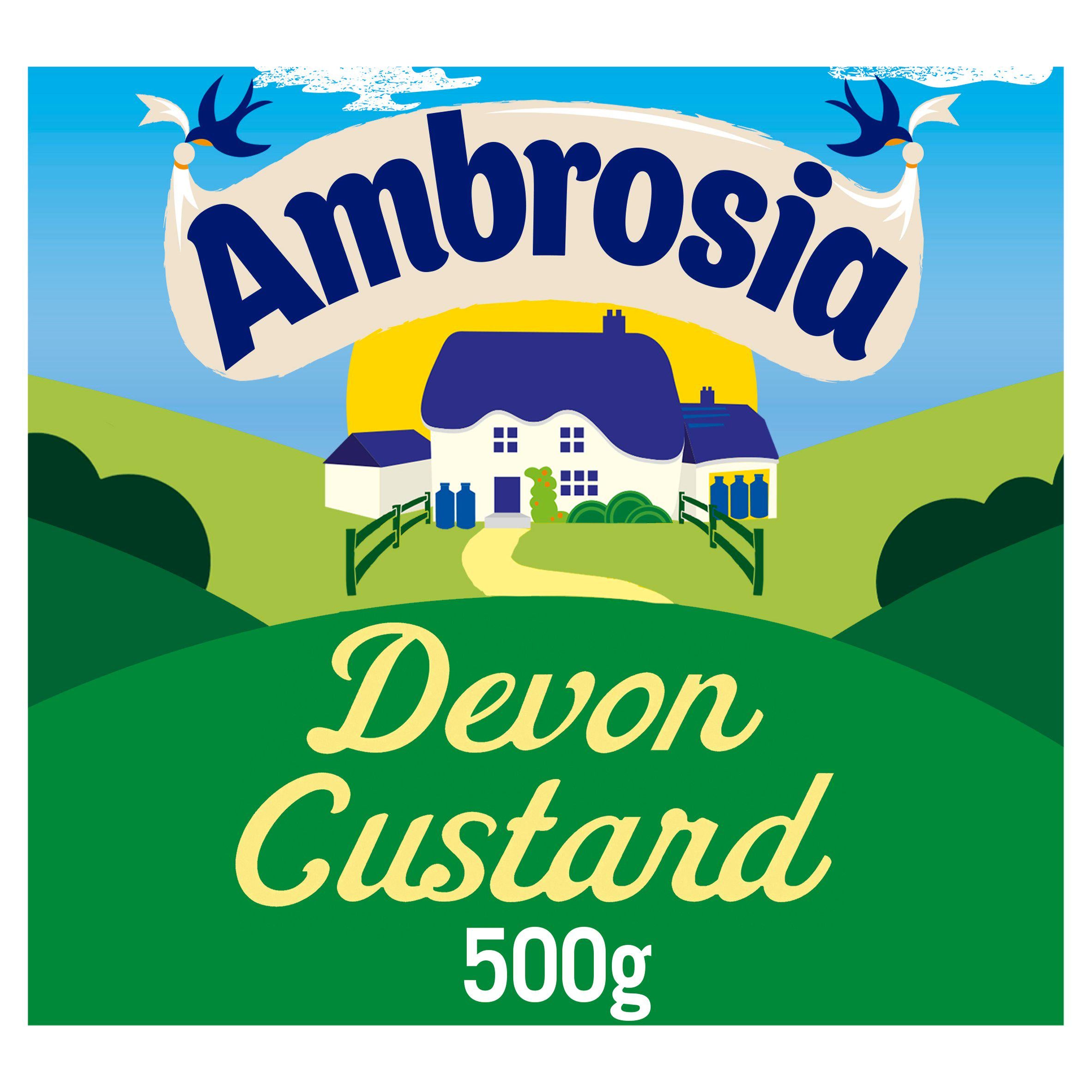 Ambrosia Devon Custard 500g carton (British brand)