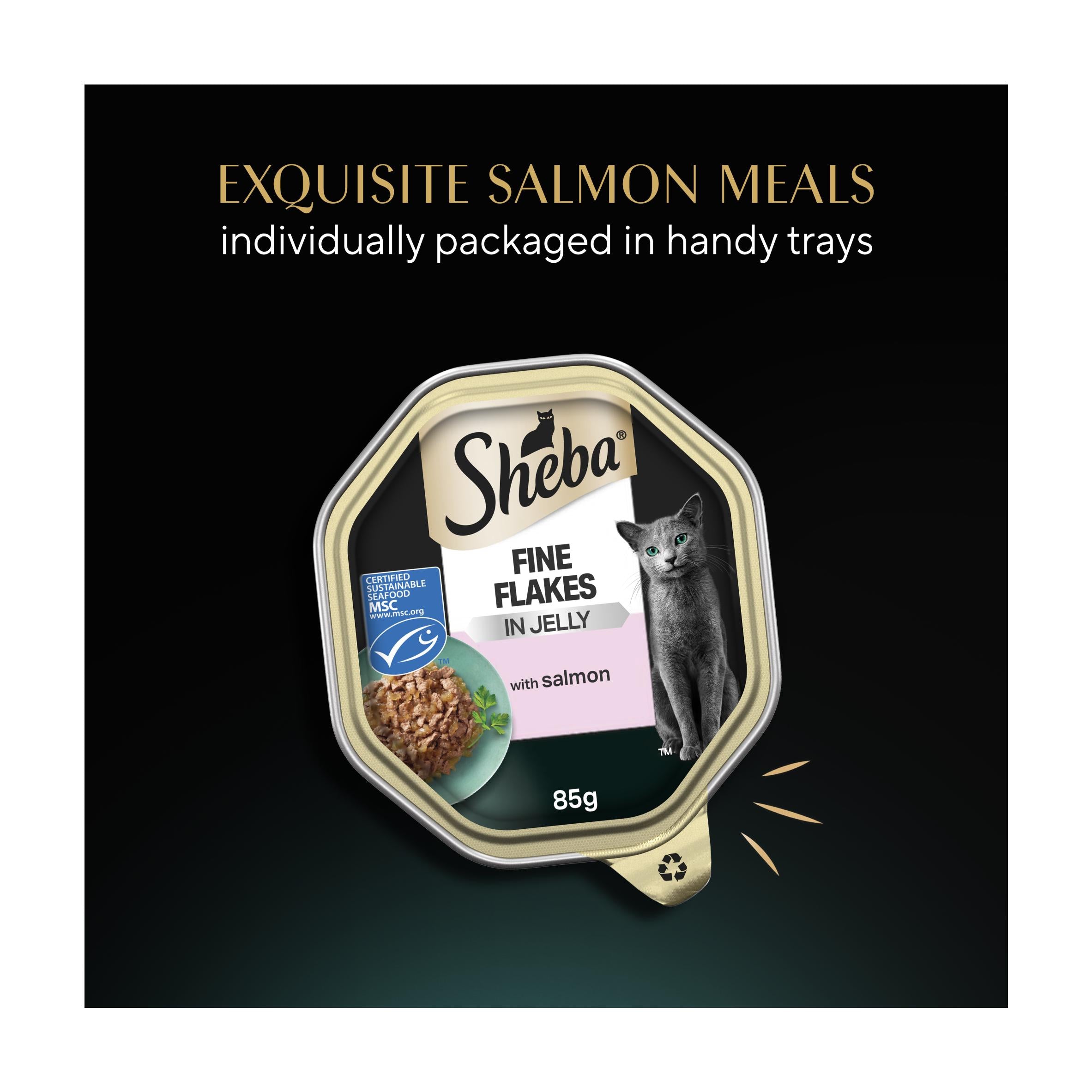 Sheba Fine Flakes Salmon in Jelly cat food 85g - British product