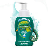 Palmolive colour changing foam hand wash 250ml, imported from the UK