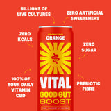 Vital Gut Health orange soda 4 x 330ml (British brand)