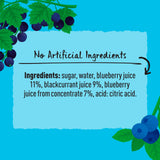 Belvoir Farm Blueberry Blackcurrant Cordial 500ml - British product