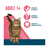 Perfect Fit Advanced Nutrition Adult Dry Chicken Cat Food 750g, UK version