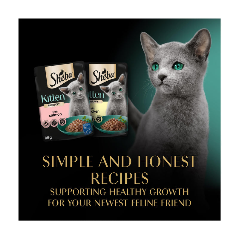Sheba kitten wet cat food mixed selection in gravy 12x85g (British brand)