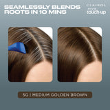 Clairol Root Touch-Up hair dye Medium Golden Brown 5G, UK version