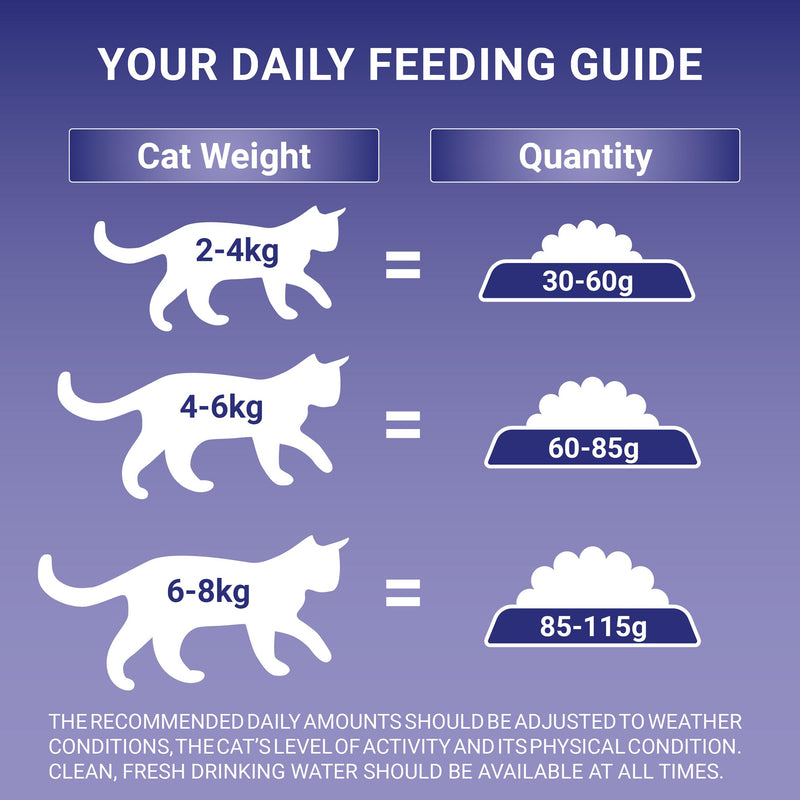 Purina dry cat food Urinary Health Chicken 750g - British product