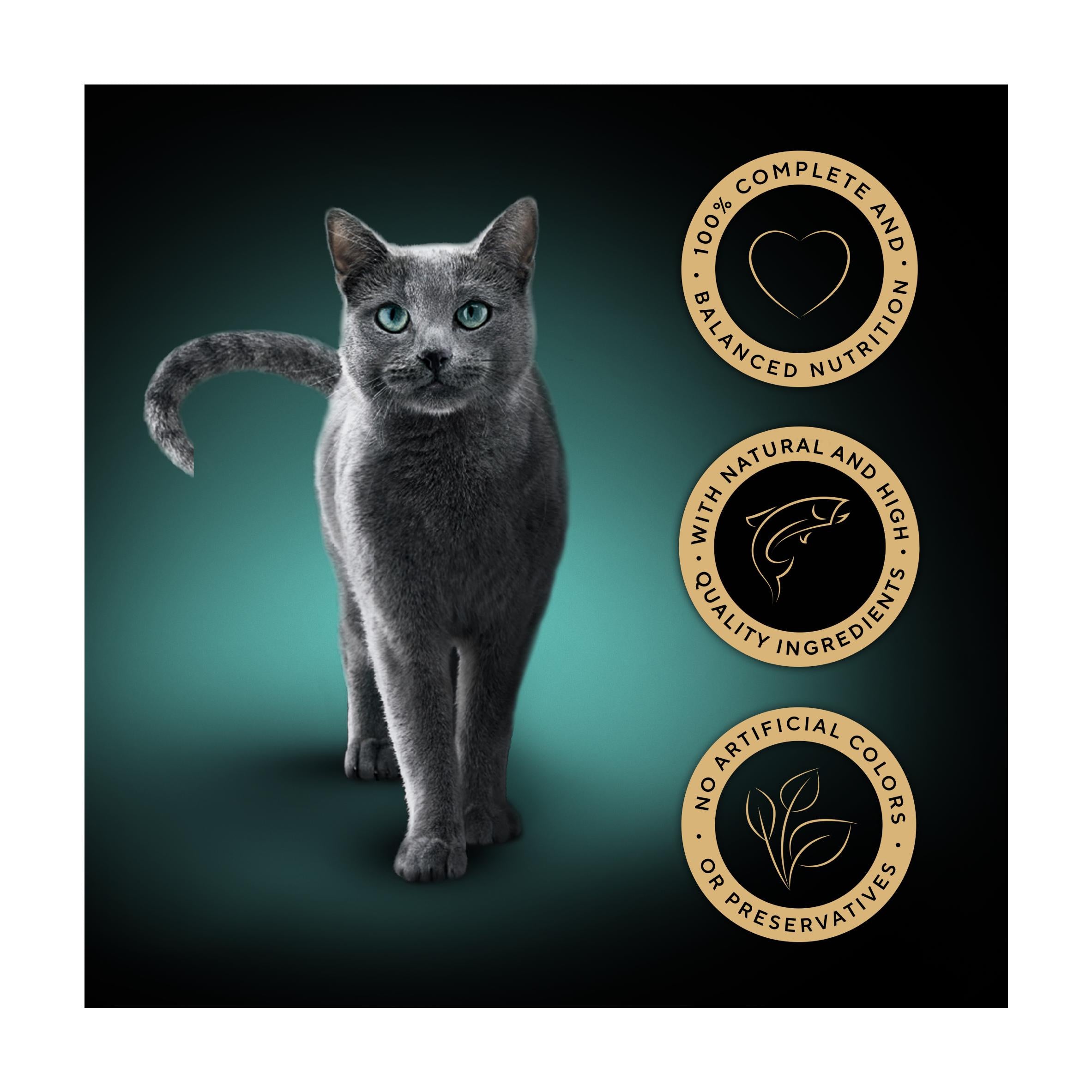 Sheba Fine Flakes Salmon in Jelly cat food 85g - British product