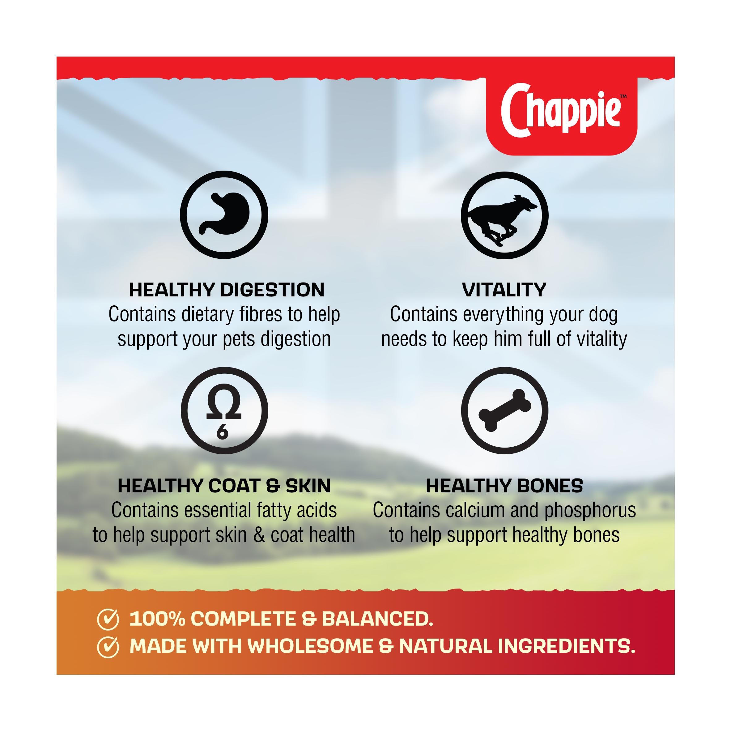 Chappie adult wet dog food loaf 6x412g tins - British product