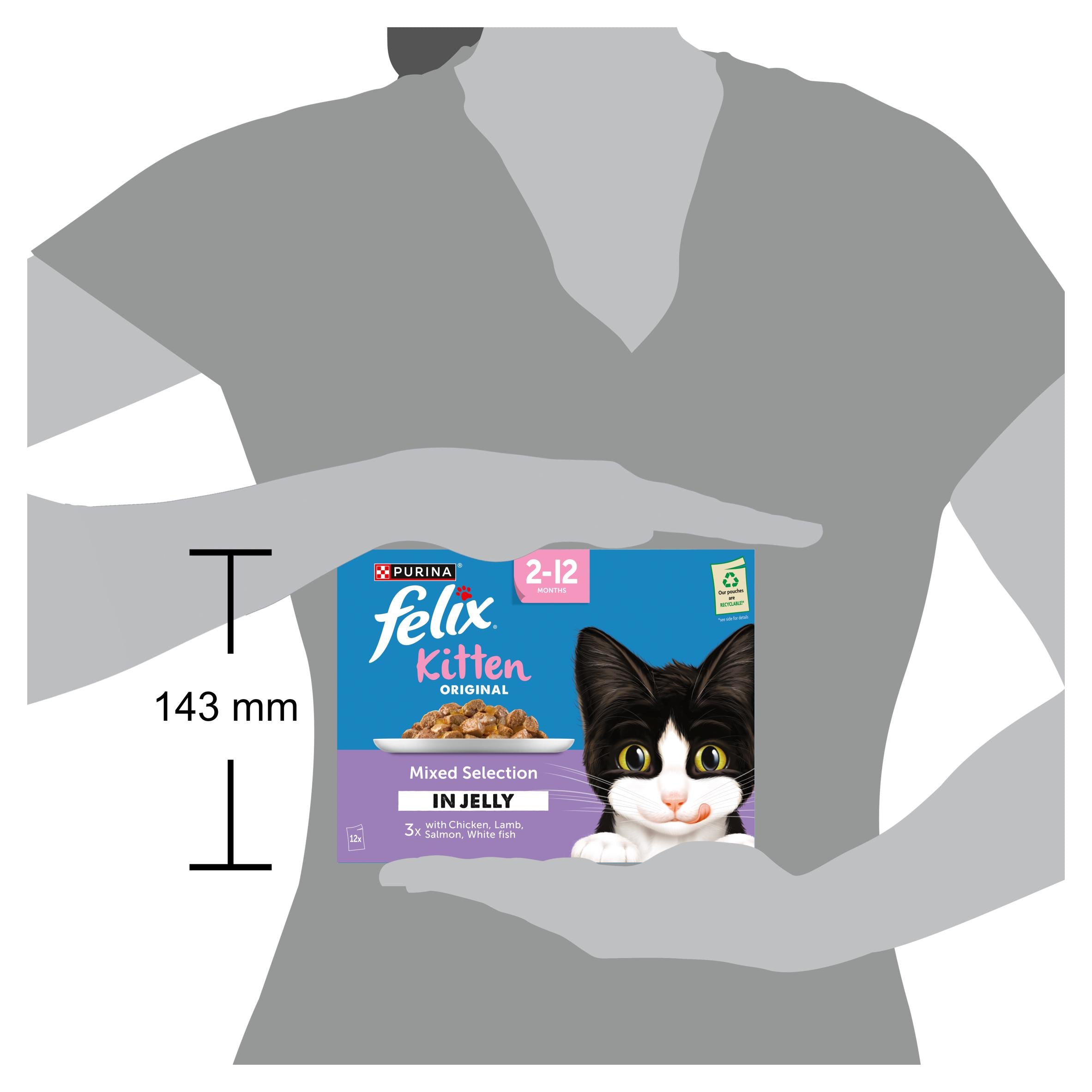 Felix kitten wet cat food mixed selection in jelly 12 x 85g - British product