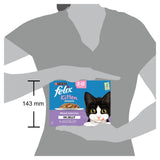 Felix kitten wet cat food mixed selection in jelly 12 x 85g - British product