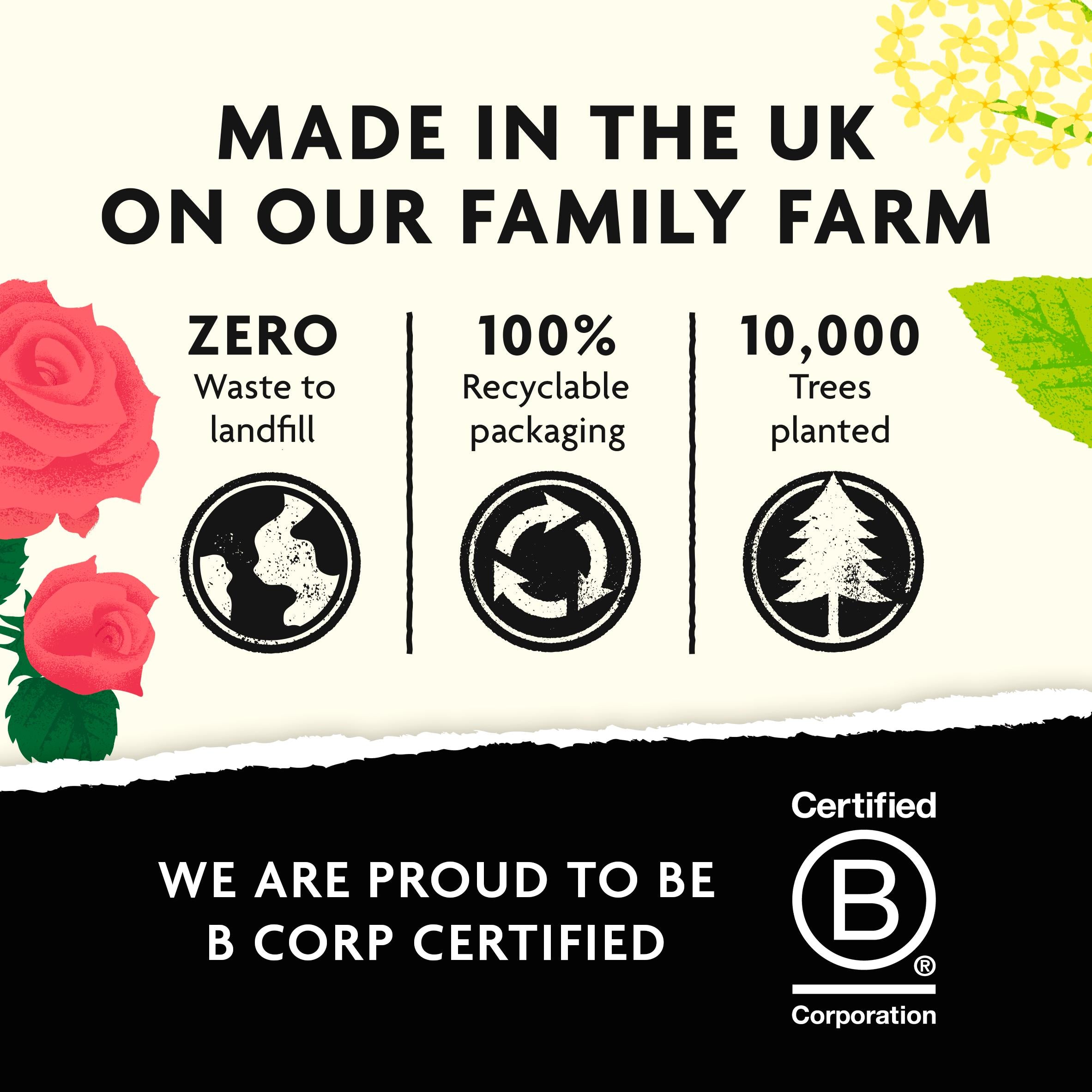 Belvoir Farm Elderflower & Rose Cordial 500ml - British product