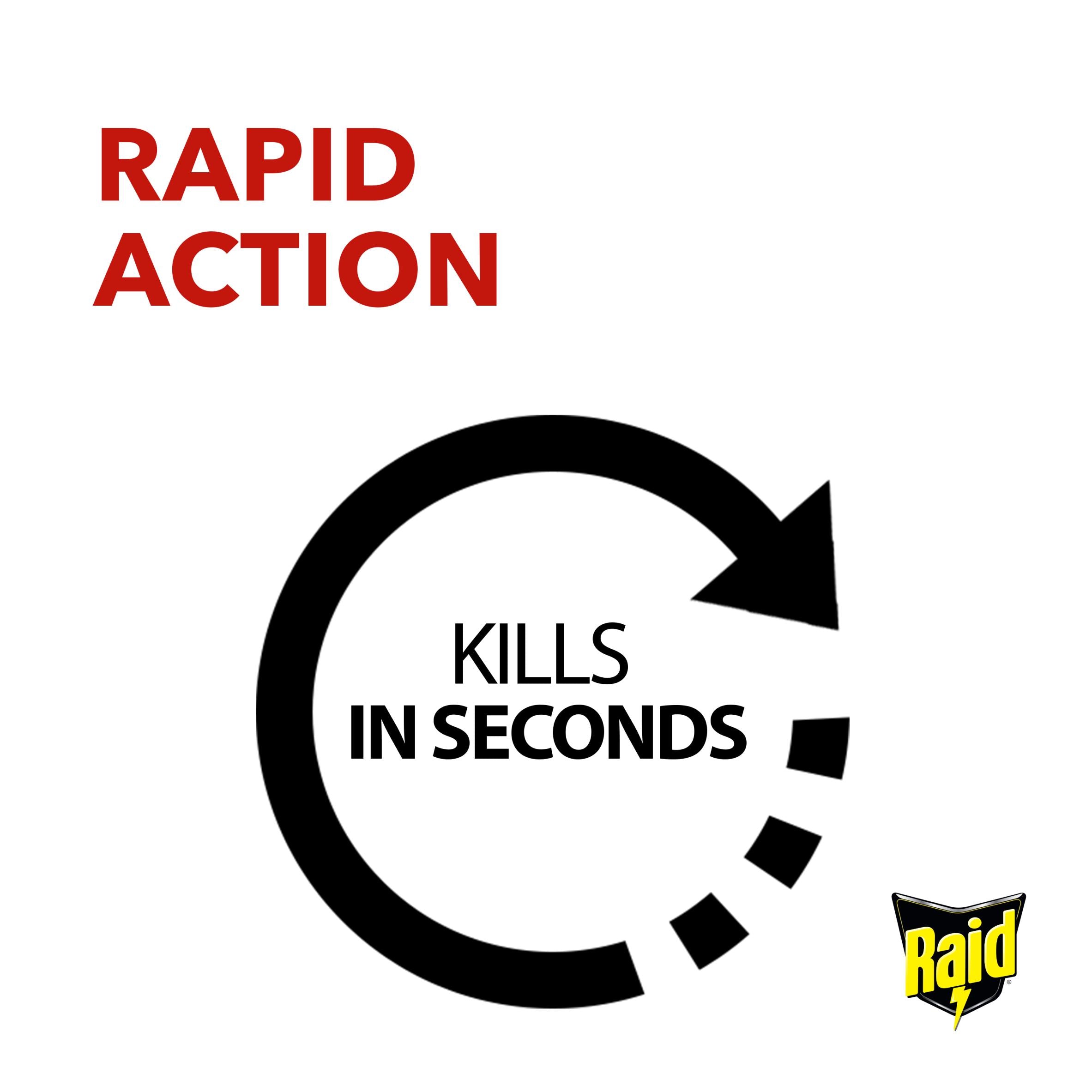Raid Rapid Action insect killer spray 300ml (British brand)