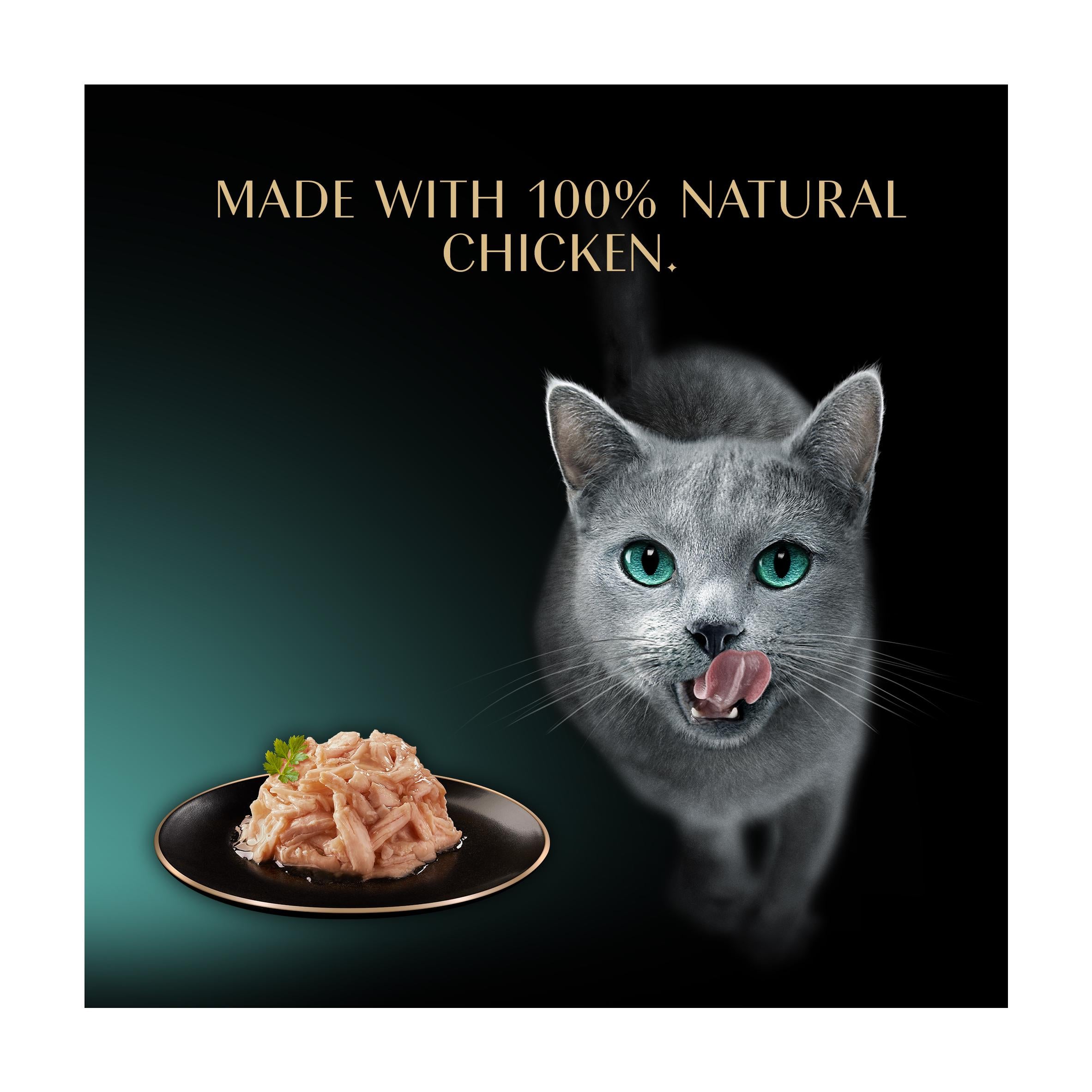 Sheba Adult Cat Food Fillets Chicken in Gravy 60g (British brand)
