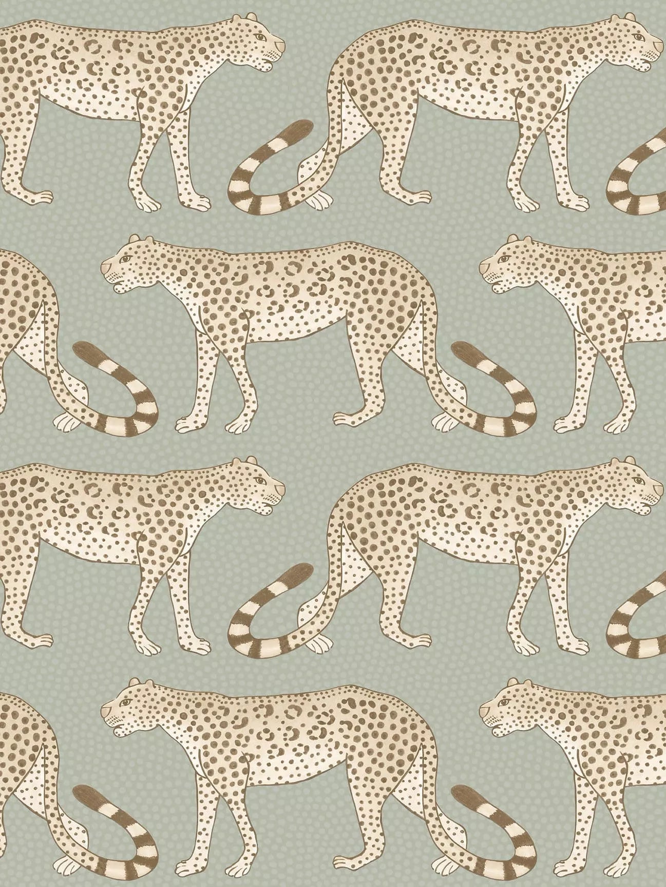 Cole & Son Leopard Walk Wallpaper 10m x 52cm