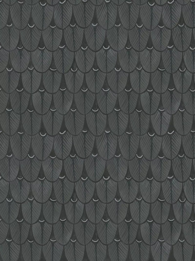 John Lewis Cole & Son Narina Wallpaper - اشترِ عبر الإنترنت من McGrocer