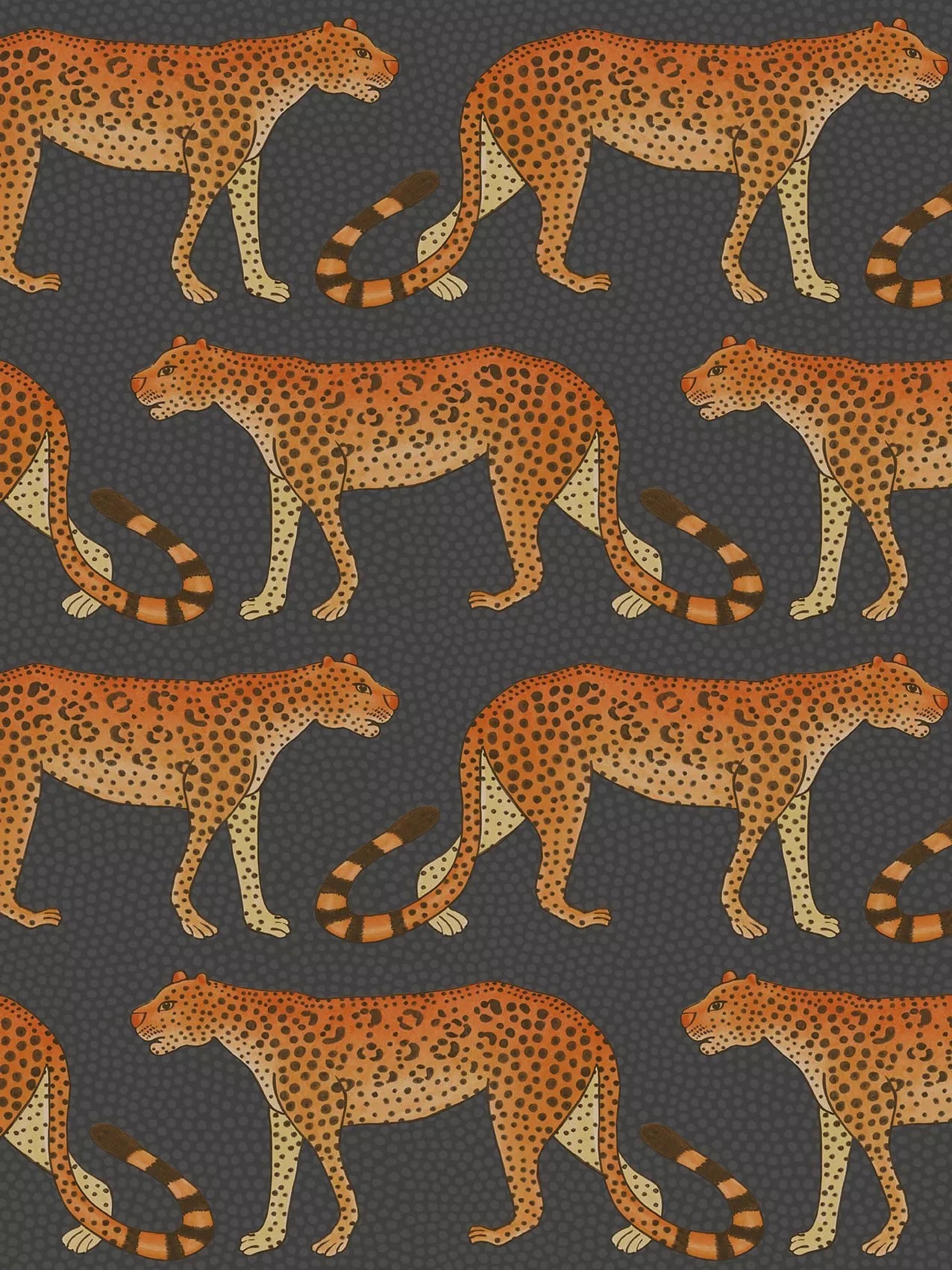 Cole & Son wallpaper Leopard Walk 10m x 52cm, UK version