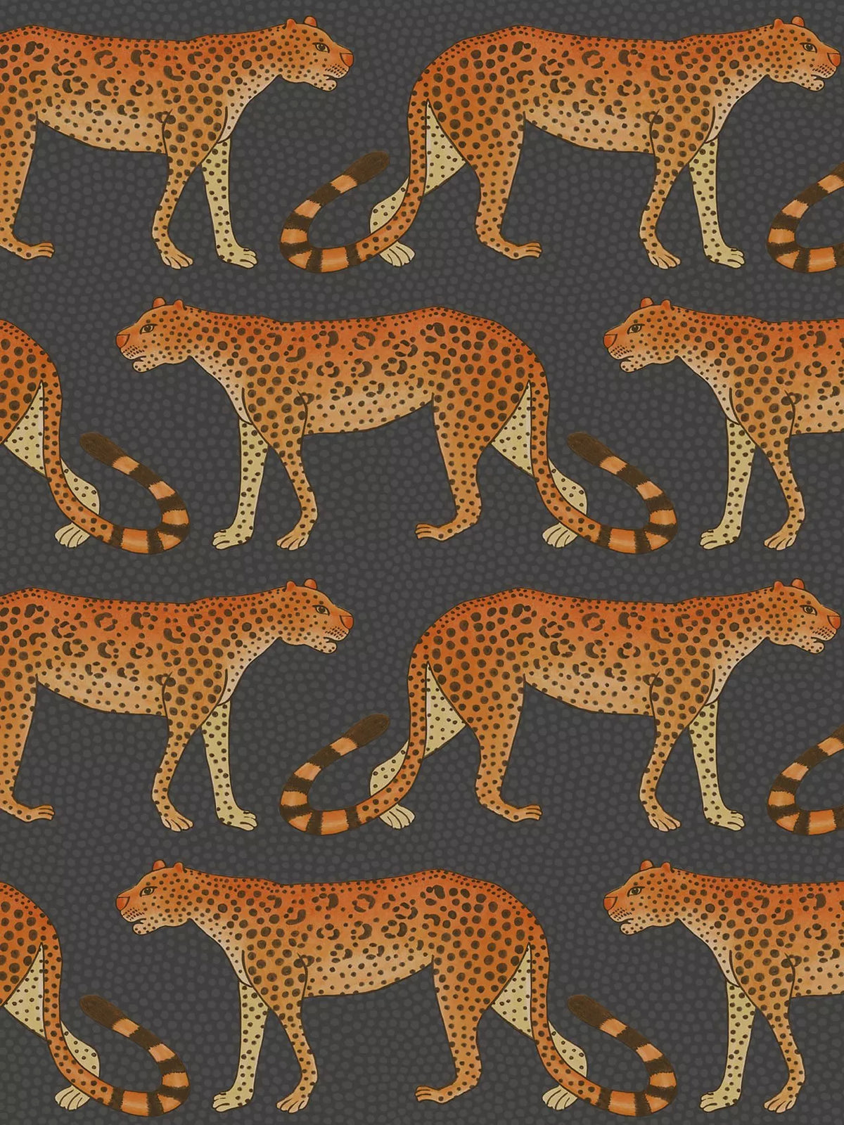 Cole & Son wallpaper Leopard Walk 10m x 52cm, UK version