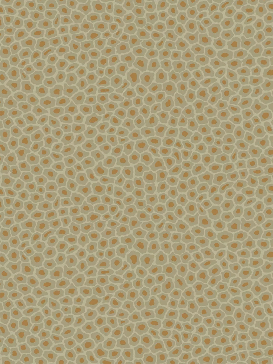 Cole & Son Senzo Spot wallpaper, UK version