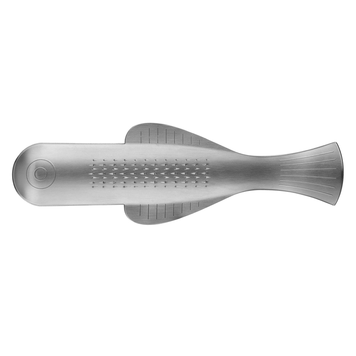 Stainless Steel Ginger Grater with Ergonomic Design