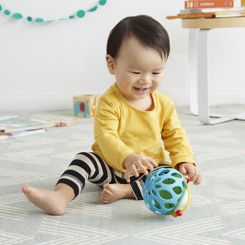 Skip Hop Roll Around Hedgehog baby teether and rattle (British brand)