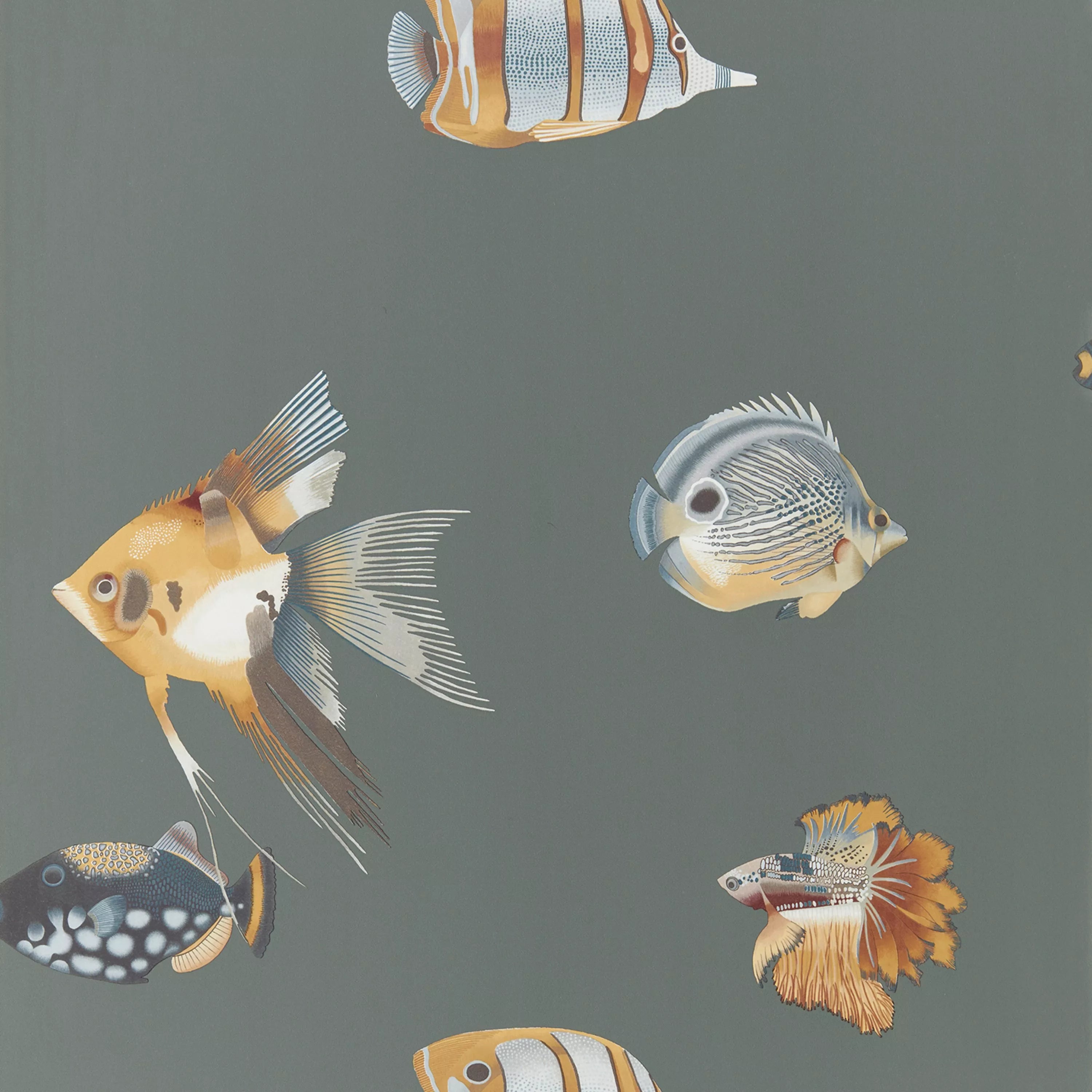Harlequin Kamanu Wallpaper Botanical Fish Design L10.05m x W68.6cm