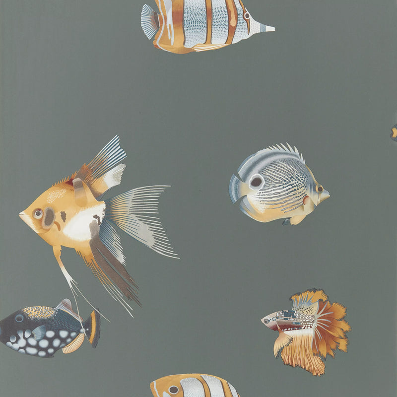 Harlequin Kamanu Wallpaper Botanical Fish Design L10.05m x W68.6cm