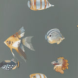 Harlequin Kamanu Wallpaper Botanical Fish Design L10.05m x W68.6cm
