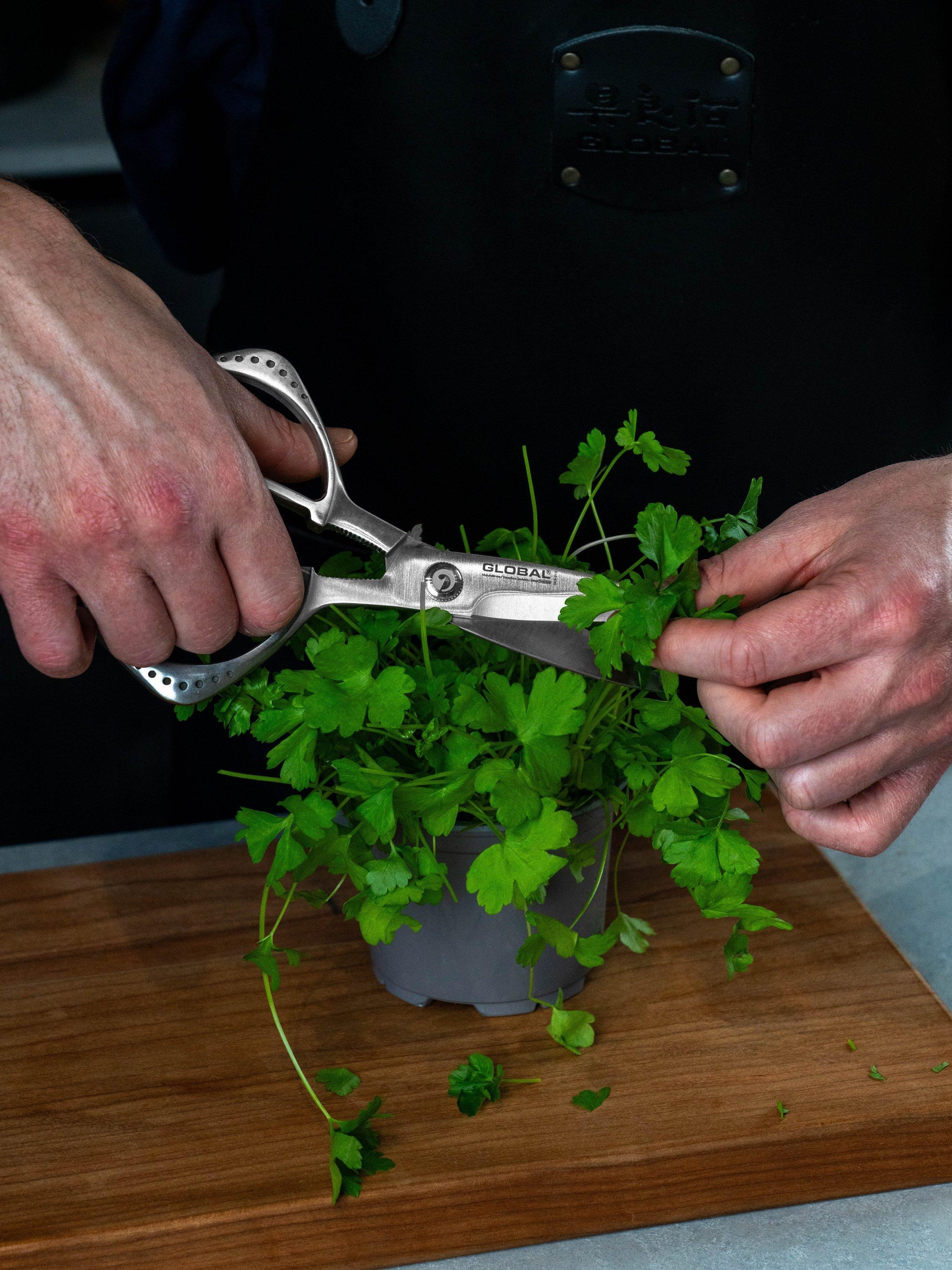 GLOBAL stainless steel kitchen shears from Japan, UK version