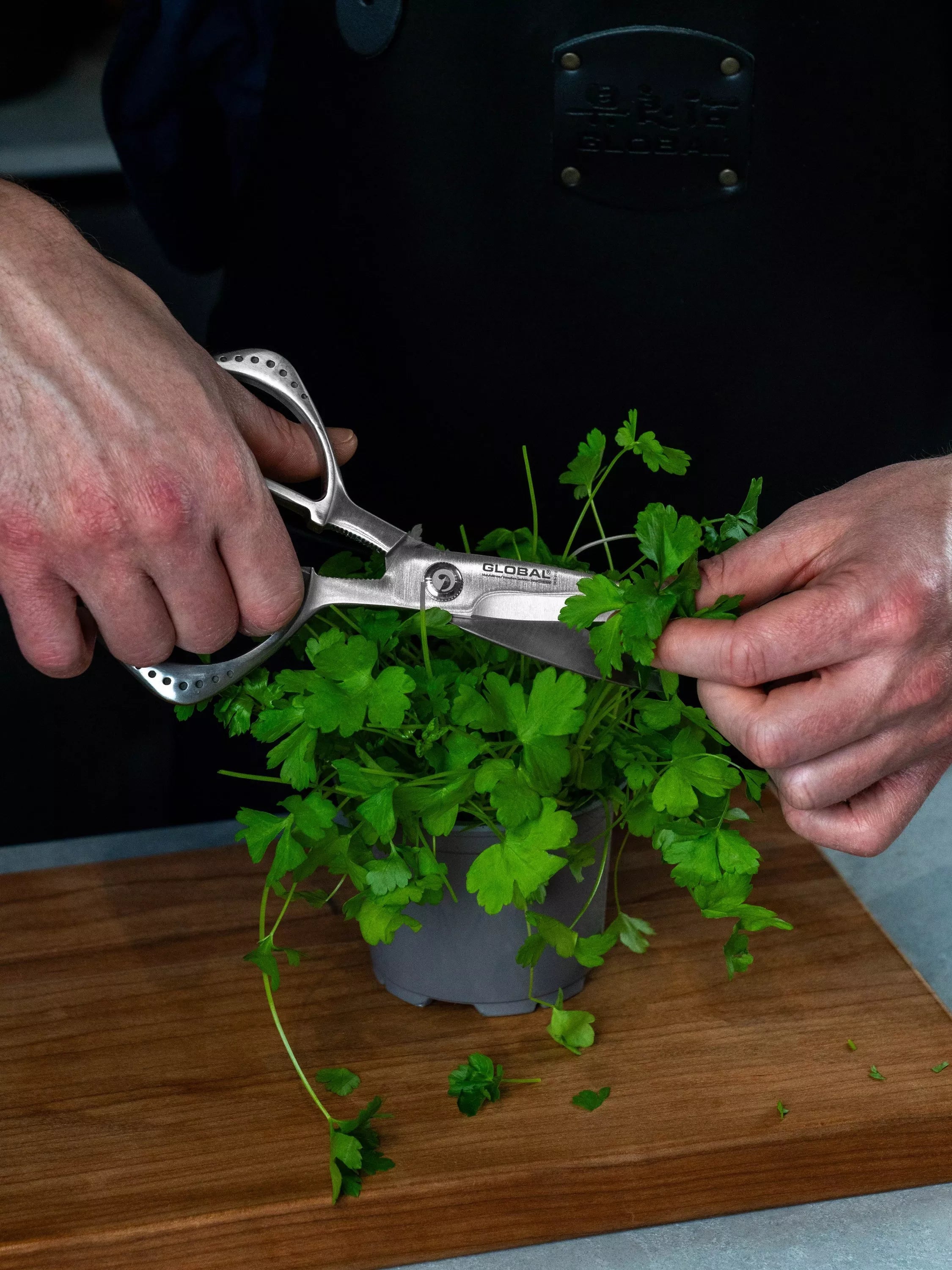 GLOBAL stainless steel kitchen shears from Japan, UK version