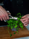 GLOBAL stainless steel kitchen shears from Japan, UK version