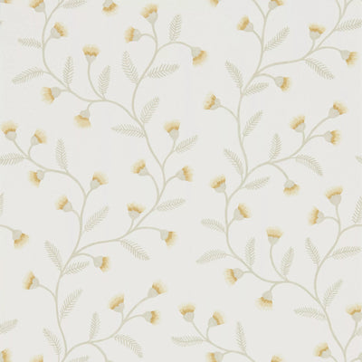 John Lewis Decorative Wallpaper with Wild Chamomile Floral Pattern- Buy online at McGrocer