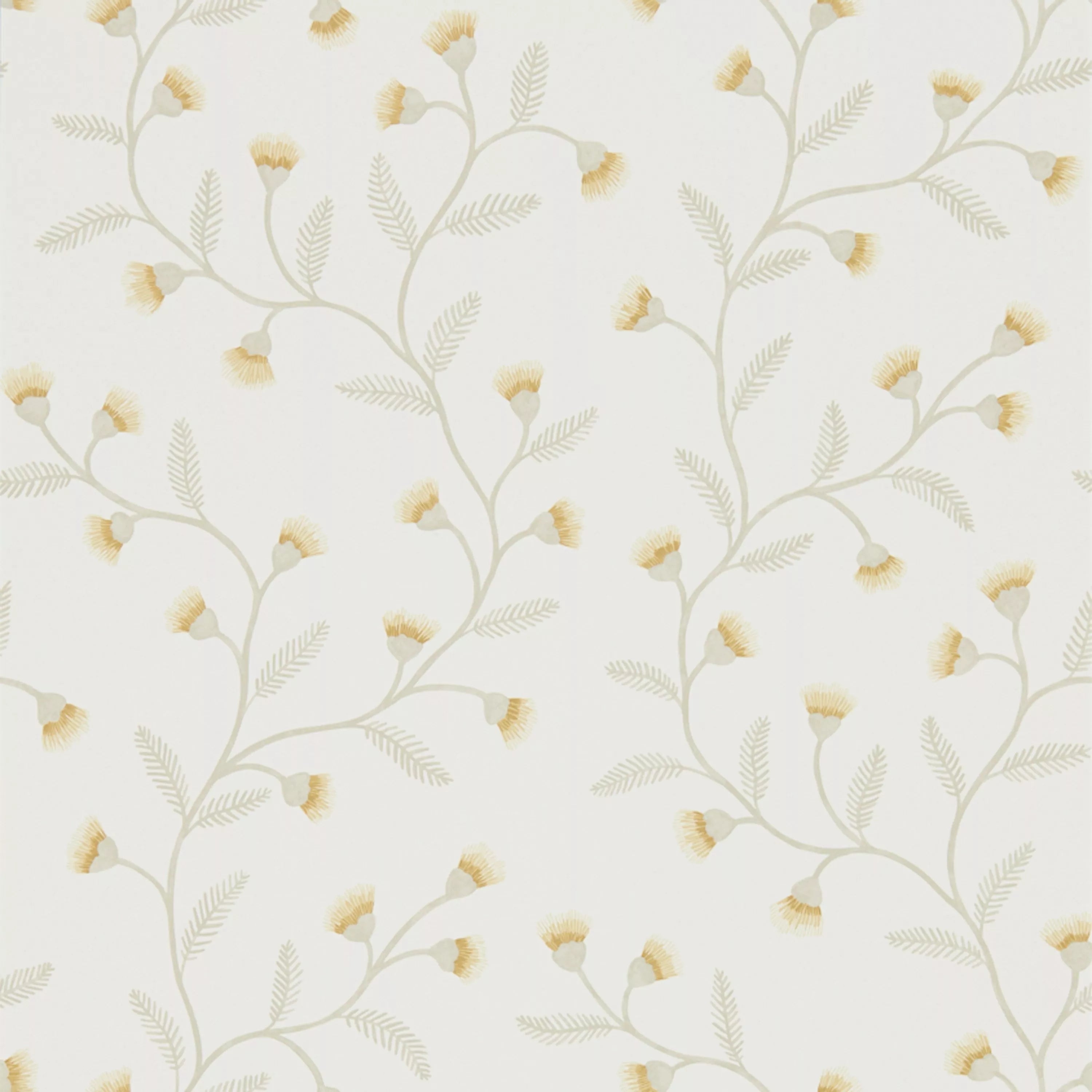 Sanderson Home Everly wallpaper with wild chamomile floral design (British brand)