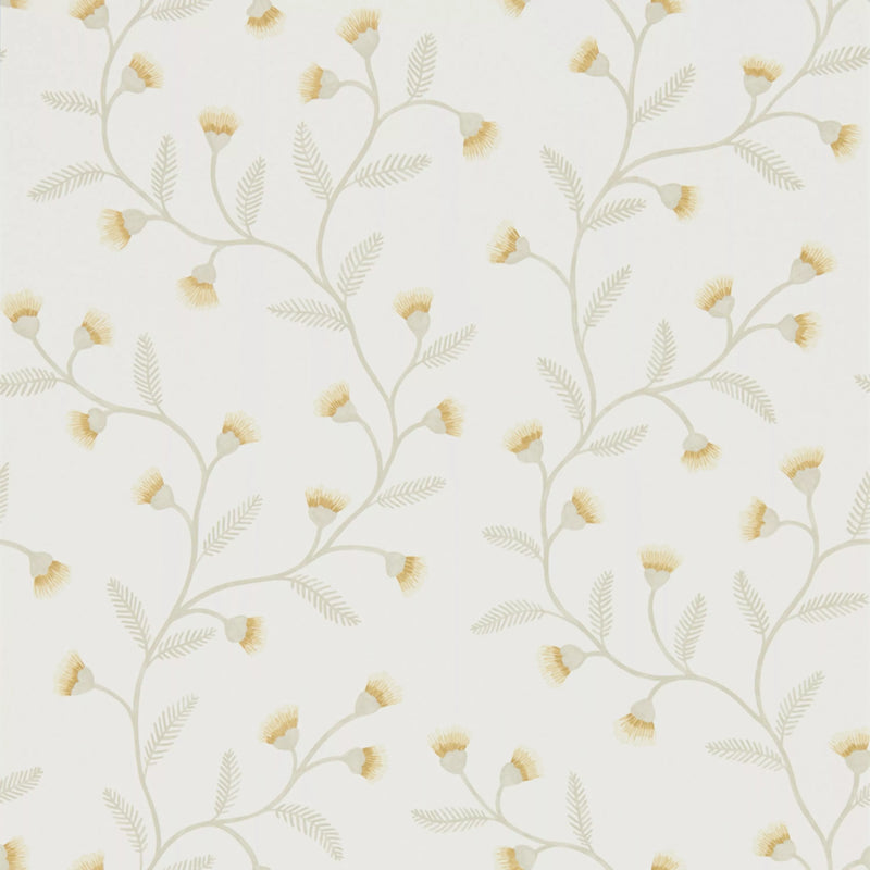 Sanderson Home Everly wallpaper with wild chamomile floral design (British brand)