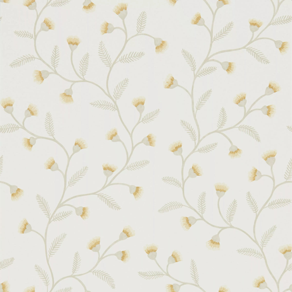 Sanderson Home Everly wallpaper with wild chamomile floral design (British brand)