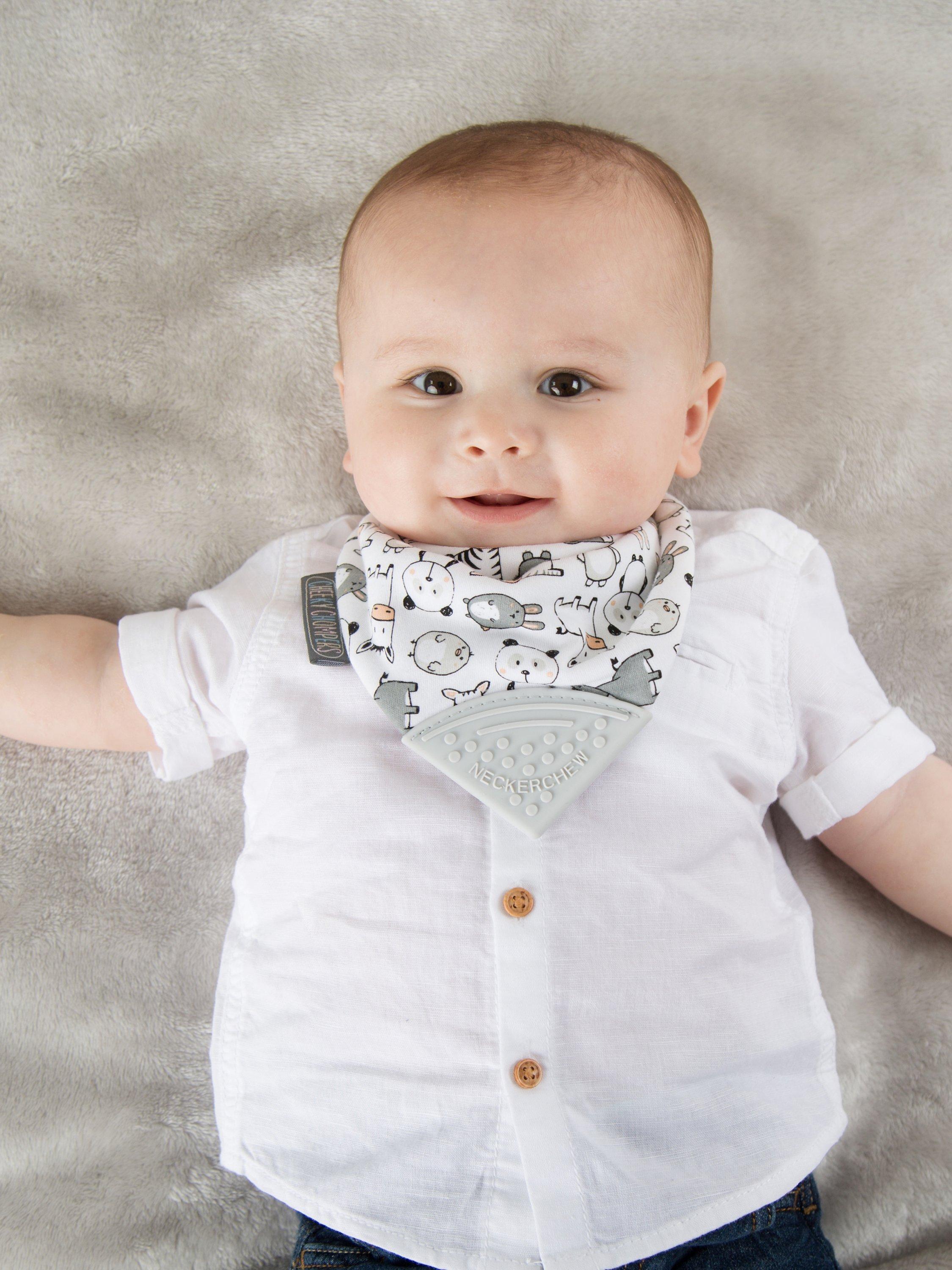 Cheeky Chompers teething dribble bib Panda Pals - British product