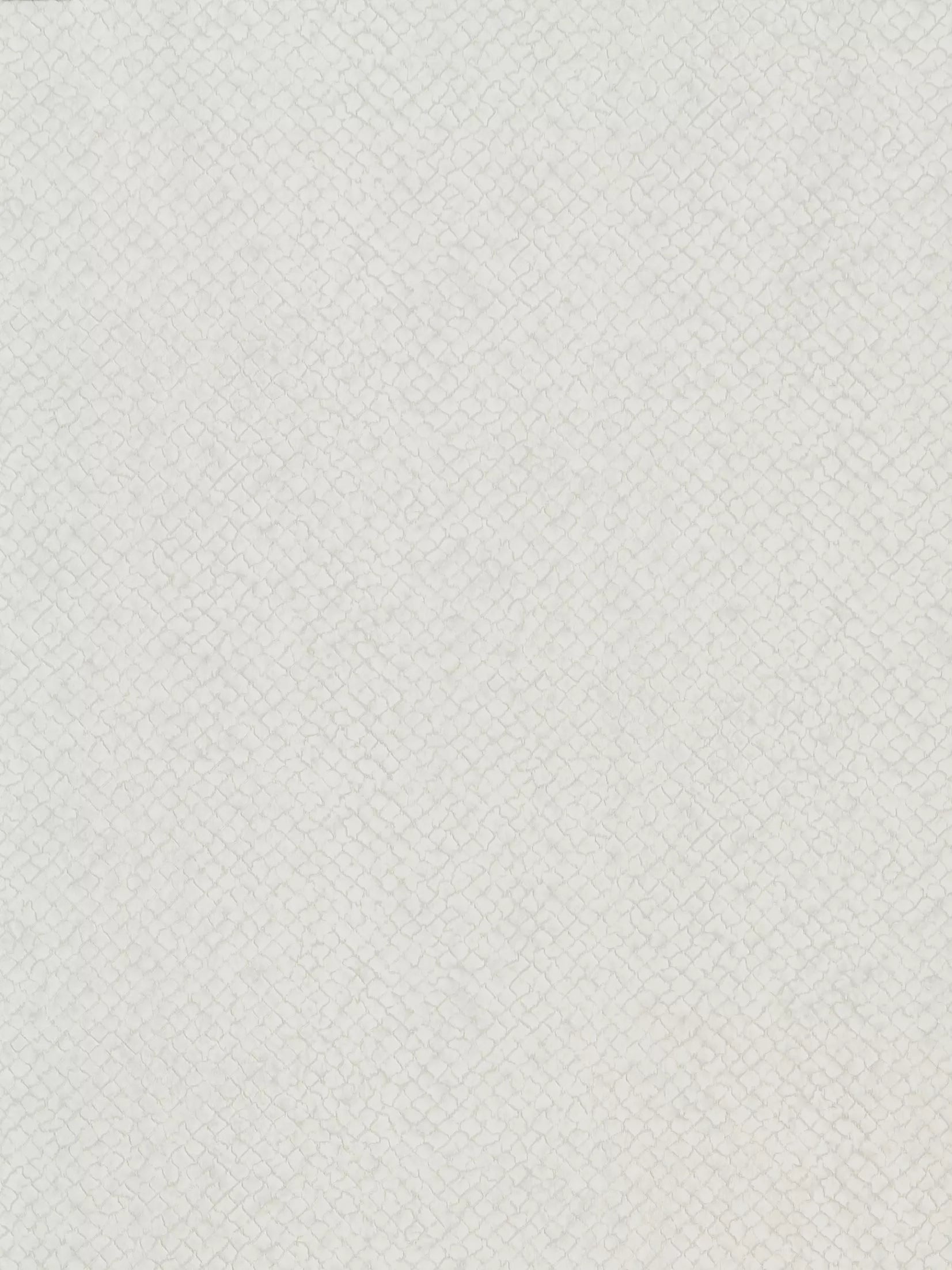 Designers Guild Boro Wallpaper PDG1042/05