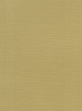 Designers Guild Kyushu wallpaper 70cm wide - British product