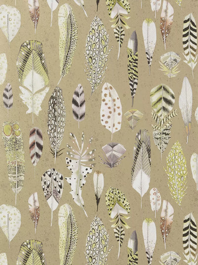 John Lewis Designers Guild Quill Tapete - Online bei McGrocer kaufen