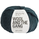 Wool And The Gang Crazy Sexy Wool Super Chunky Yarn 200g