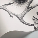 Cole & Son Lily wallpaper 10m x 52cm roll - British product