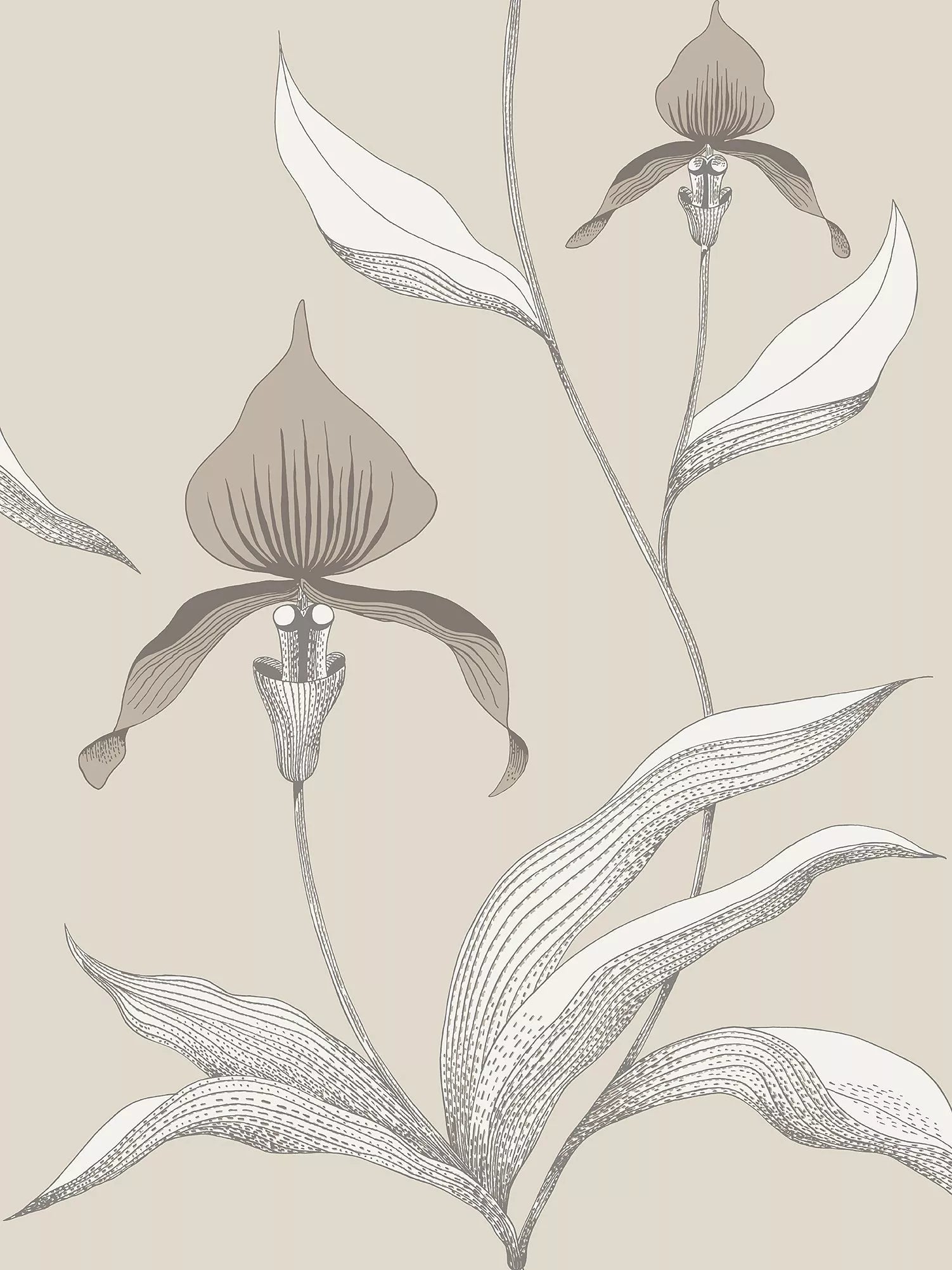 Cole & Son orchid wallpaper 10m x 53cm (British brand)