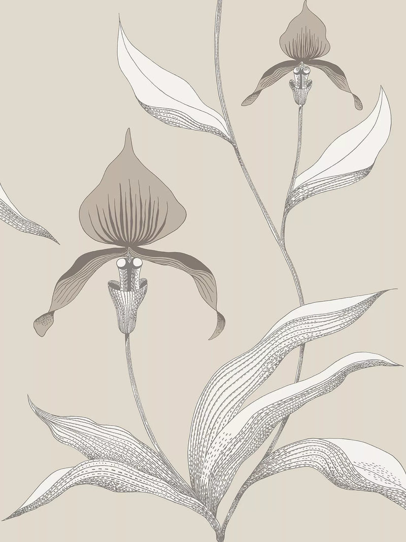 Cole & Son orchid wallpaper 10m x 53cm (British brand)